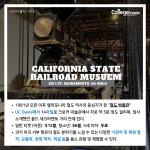 긴 내용 (5)