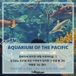 2가지 비교