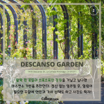 2가지 비교 (2)