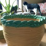 aloe pot
