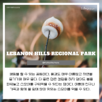 긴 내용 (3)