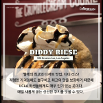 긴 내용 (6)