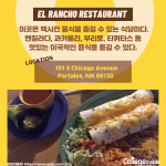 밝은 바탕색 (5)