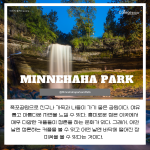 긴 내용 (5)