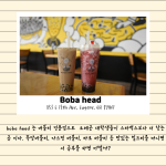 뉴스 5