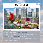 짧은 길이 내용 (2)