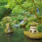 Japanese garden
