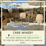 긴 내용 (3)
