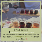 긴 내용 (5)