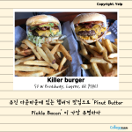 뉴스 5