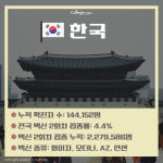 긴 내용