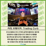 밝은 배경 + 많은 텍스트 (3)