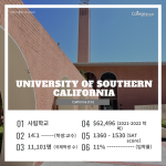 긴 내용