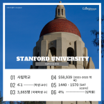 긴 내용 (2)