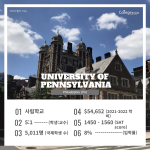긴 내용 (3)