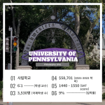 긴 내용 (4)