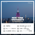 긴 내용 (5)