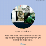 뉴스 2