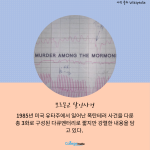 뉴스 5
