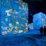 immersive van gogh 3