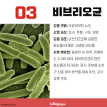 어두운 배경 + 적은 텍스트 (3)