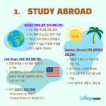 (일반 길이의 내용)