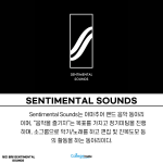 밝은 배경 + 많은 텍스트