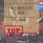 라스베가스의 비밀 4가지 (커버) – 황선화