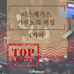 라스베가스의 비밀 4가지 (커버) – 황선화