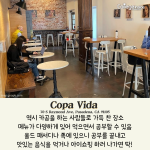 밝은 바탕색