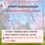 긴 내용