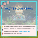긴 내용 (4)