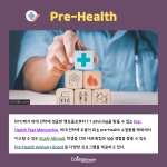 2가지 비교 (2)