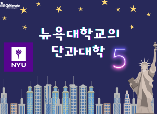 전공? 유명 동문? 뉴욕대학교(NYU)의 단과대학 5