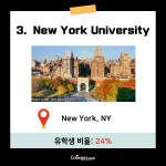 긴 내용 (3)