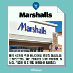 긴 내용 (4)