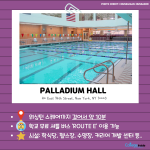 (일반 길이의 내용)