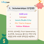 (긴 내용)