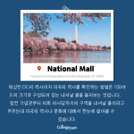 (긴 내용)