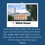 (긴 내용) (3)