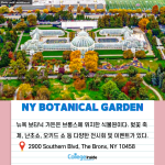 바탕 이미지 있는 버전 (5)