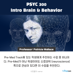 바탕 이미지 있는 버전 (2)