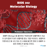 바탕 이미지 있는 버전 (3)