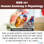 바탕 이미지 있는 버전 (5)
