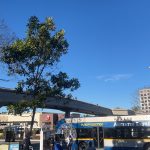 IMG-0512
