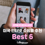 미국 인터넷 쇼핑몰 추천 (커버)