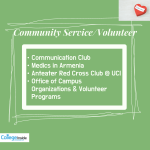 community service_ volunteer