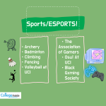 sports and esports