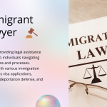 immigrant lawyer