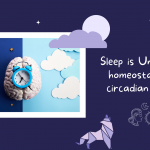 circadian + homeostatic